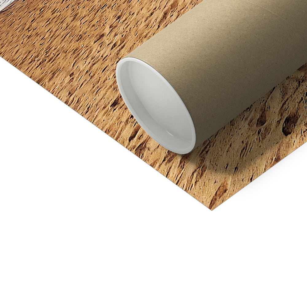 BTS Butter shoot Location Beach Fine Art Print